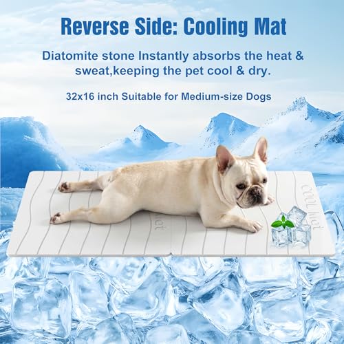 Double-Side 2 in 1 Stone Pet Food Mat & Cooling Mat (31"*16") | Instant dry water absorbing Diatomite Stone Dog Bowls Drying Mat & Heat dissipating Pet Cooling Mat. Bite-Proof & Non-slip. - color: WHITE, size: 31"*16"
