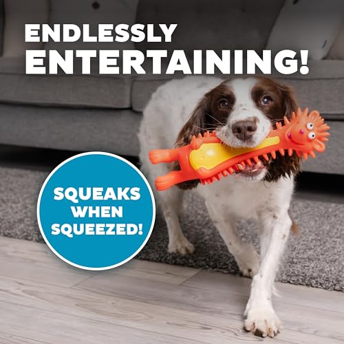 Outward Hound Latex-Free Big Squeak Hedgehog Dog Toy - color: Hedgehog, style: Big Squeak Hedgehog