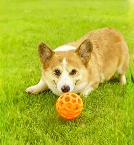 2PCS pet Bell Ball Toy,Suitable for Dogs, Cats, and Other Animals. Safe and Durable, bite-Resistant Design, Interactive Toy, Promotes Activity, an Essential Daily Plaything for Pets. - color: Orange