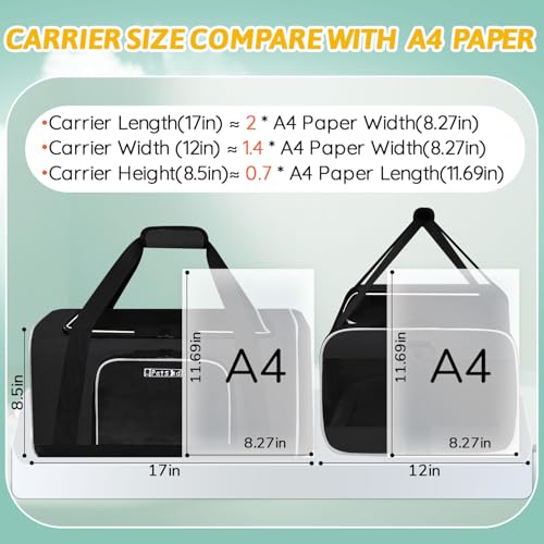Small Pet Carrier 17" L x 12" W x 8.5" H Airline Approved, Black | for JetBlue/Frontier/Spirit Airlines, Lockable Safety Zippers and Anti-Scratch Mesh, Pets Under 8 lbs - color: Black, size: 17.0"L x 12.0"W x 8.5"H