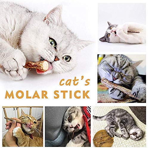 WoLover 20 PCS Matatabi Sticks, Silvervine Chew Toys for Cats | Natural Catnip Sticks, Cleaning Teeth Molar Chew Toy for Cat Kitten Kitty Dental Care - size: 20 PCS