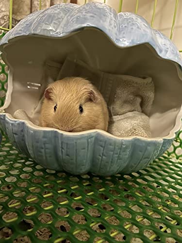 Small Animal Hideout Extra Large Ceramic Shell Shape Guinea Pig House Chinchilla Igloo Habitat Hut Cave Summer Bed Cage Accessories for Hedgehog Rabbit Hamster Gerbil Rat (XL (9.5''x7''x7.9''), Blue) - color: Blue