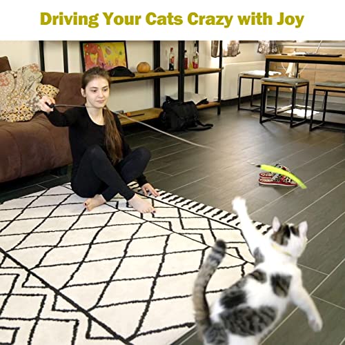 MeoHui Cat Toys for Indoor Cats, Interactive Cat Toy 2PCS Retractable Wand Toy and 9PCS Cat Feather Toys Refills, Funny Kitten Toys Cat Fishing Pole Toy for Bored Indoor Cats Chase and Exercise