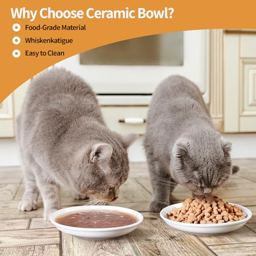5.9 inch Ceramic Cat Bowls,Wide Shallow Dishes,Whisker-Friendly Plates,Food and Water Bowl for Indoor Cats,-10 oz,3 Pack - color: Basic Dish