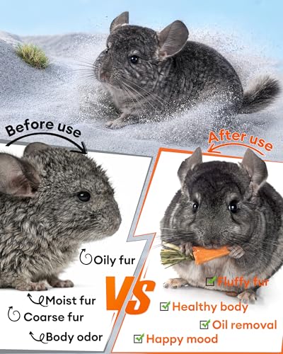 Chinchilla Dust Bath - Gentle Powder for Hamsters & Gerbils, 35oz | Natural sand bath for healthy fur. Safe for chinchillas, hamsters, gerbils & small pets. Gentle, premium dusting powder. - size: 35OZ