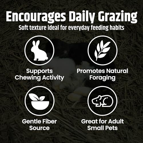 High Desert Orchard Grass Hay for Rabbits, Guinea Pigs, Chinchillas, 4 lb | Soft Leaf Low Protein Forage, Ideal For Adult Or Overweight Pets, Great Alfalfa Alternative, Hand Packed in the USA, Low Dust