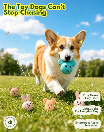 Natural Latex Dog Toys, 4-in-1 Set Bunny & Bear Face Squeaky Teething Clean Puppy Toys, Non-Toxic Fresh Scented Anxiety Relieve Toys for Small Medium Dogs, Boredom Buster Interactive Funny Pet Toys - style: Mammal