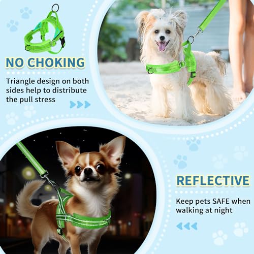 SlowTon No Pull Small Dog Harness and Leash Set with Front Clip | Soft Padded, Neck & Chest Adjustable, Lightweight, Anti-Twist, Puppy Vest Harness Pet Lead Combo for Small Medium Dog, G XXS - color: Green, size: XX-Small