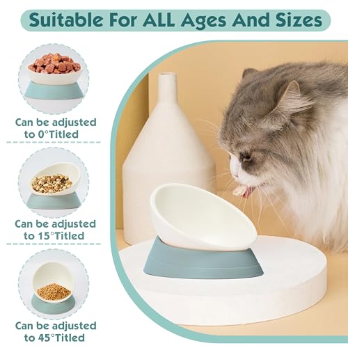 French Bulldog Food Bowl- Slanted Tilted Pug Food Water Bowl,Cat Bowl- Feeder for Frenchie/Shih Tzu/Flat Faced Small Dogs/Puppies/Cats (Green, 4 Cup) - color: Green, size: 4 Cup