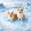 Cooling Mat for Dogs, Gel Dog Instant Cooling Mat Pet Pad for Cats | Dog Cooling Mat, 3.0 Gel Instant Self-Cool Pad for Pet Waterproof Large Dog Mat for Beds,Kennels,Crates - size: 35.4" x 23.6"