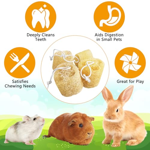 12 Pcs Rabbit Chew Toys Natural Bunny Loofah Chew Toy Chinchilla Teeth Grinding Toys Guinea Pig Fibre-Rich Treats Enrichment Bunny Accessories for Rabbits Hamster (M) - color: M- (12 PCS)