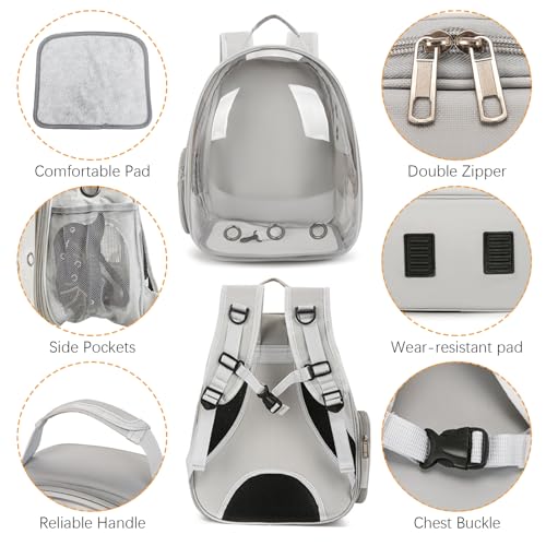 kathson Bearded Dragon Carrier with Harness and Leash Set, Large Reptile Travel Carrier Portable Lizard Backpack Clear Small Animals Carrying Bag for Gecko Hamster Rabbit Hedgehog Kitten (Gray) - color: Gray