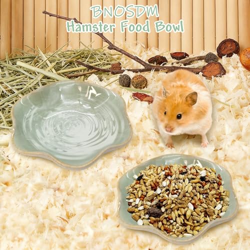 BNOSDM Shallow Ceramic Hamster Food Dish 2 Pcs Small Animals Food Bowl Lotus Feeding Dishes for Gerbils Mice Rats 4.5in (Green) - color: Green Lotus