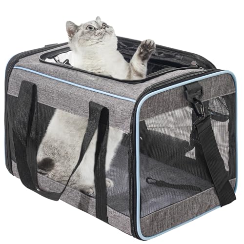Vivicreate Cat Carrier Airline Approved Soft Sided Pet Carrier for Cats and Small Dogs Portable Travel Cat Bag with Mesh Ventilation Safety Leash and Shoulder Strap up to 15 lbs