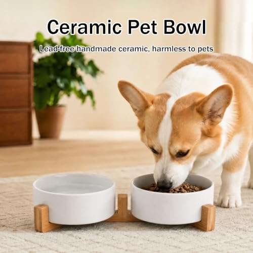 MateeyLife Ceramic Dog and Cat Bowls with Stand, 2-Pack Food and Water Bowl Set - Non-Slip Pet Bowls for Small & Medium Size Dogs，28.7OZ(White) - color: White, size: M-3Cup