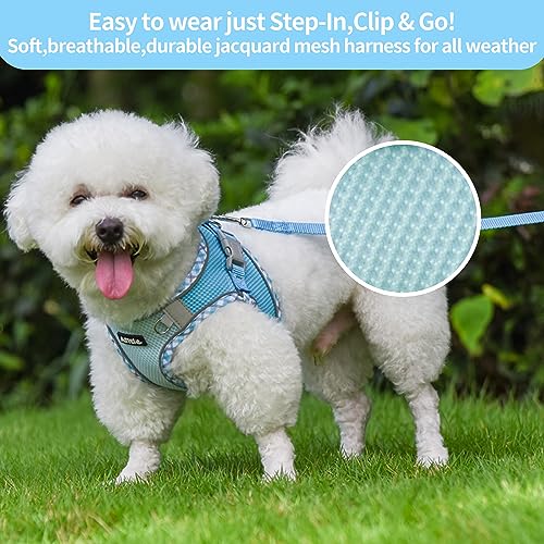 Tiny Dog Harness - Lightweight Mesh Step-in Vest for Puppy, Reflective & Escape-Proof Design with High-Stick Magic Tape - Indoor/Outdoor Use for Chihuahua, Maltese, Shih Tzu(Blue, XXXS) - color: Blue, size: XXXS(Chest: 8.5 - 10")