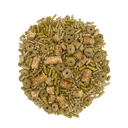 Oxbow Forage Wise Adult Guinea Pig Food, All Natural Adult Guinea Pig Pellets, Formulated with Timothy Hay & Vitamin C, No Artificial Colors & Preservatives, Made in the USA, Vet Recommended, 4 lbs