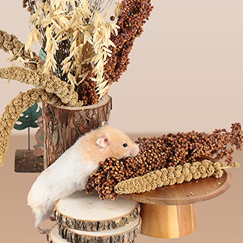 Natural Ear of Grain Flower&Herb Bedding Mate Habitat Decor, Adding Fun Hamster Accessories for Hamsters Gerbils Lemming - color: Grain