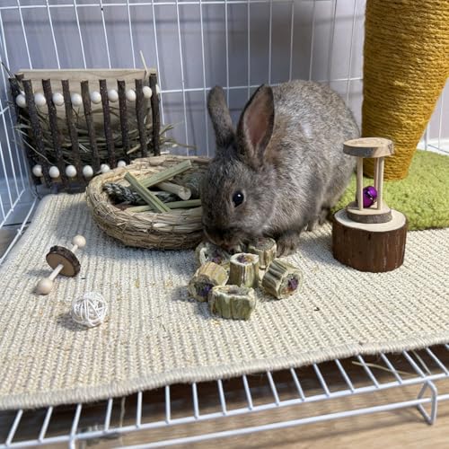 Rabbit Chew Toys for Teeth Guinea Pig Treats Papaya Wood for Bunny (3.5oz) | bunny supplies,rabbit enrichment toys,rabbit stuff,rabbit toys for bunnies boredom,for bunny guinea pig chinchilla Hamster - size: 3.5oz（A）