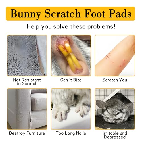 BNOSDM 2Pcs Chinchilla Scratch Foot Pads Hamster Grinding Claw Pads Natural Bunny Lava Stone for Teeth Rabbit Scratching pad Chew Toy for Guinea Pig Ferret Rabbit Mouse(Black) - color: Black 2x Small