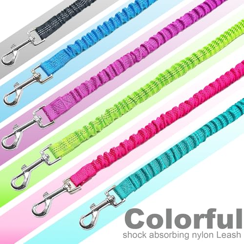 Bungee Dog Leash- 5FT Shock Absorbing & Reflective Nylon Leash | Anti-Pull Training for Small/Medium Dogs | 2cm Wide, 6 Colors (Green) - color: Green