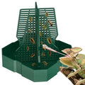 Pawfly Chameleon Feeding Bowl, Climbable Chameleon Feeder, Large Plastic Reptile Feeder Box, Bearded Dragon Food Container, Bug Bowl for Lizards, Geckos, and Frogs - color: Interlocking Feeding Dish, size: Large