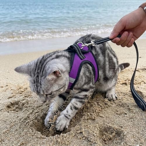 Cat Harness and Leash Escape Proof, Soft Breathable Mesh Kitty Walking Vest, Adjustable Step-in Kitten Harness Set with Reflective Strip for Small Cats - color: Purple, size: Large