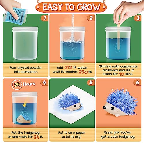 Crystal Growing Kit - 4 Vibrant Hedgehogs Fast 24H, STEM Gift for Kids 6-12 | Grow 4 vibrant hedgehogs in 24H. STEM science kit for ages 6-12. Educational DIY toy, great birthday gift for boys & girls. - color: 4 Hedgehog Crystal