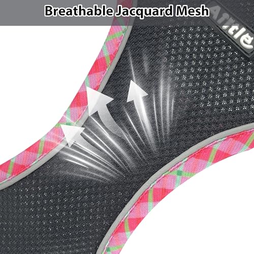 XXS Dog Harness & Leash Set - Breathable Reflective No-Choke Small Dog Harness for Teacup Puppies, Indoor/Outdoor Use - Boston Terrier, Maltese, Chihuahua(Black, XXS) - color: Black, size: XXS(Chest: 10 - 11.5")