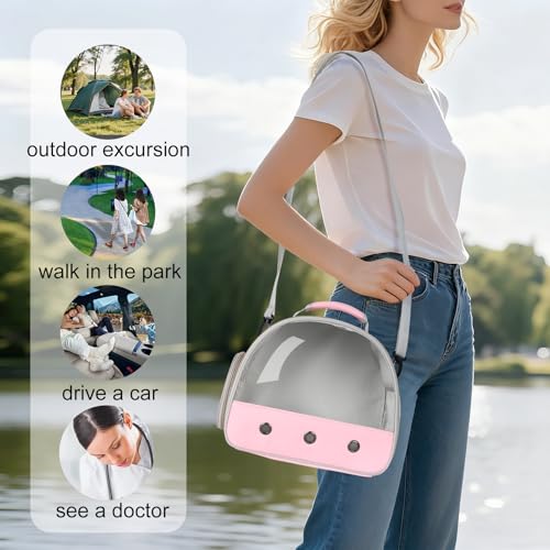 Bearded Dragon Carrier,Lizards Cage,Hamster Outdoor Used,Small Animal Travel Carrier for Sugar Glider Hedgehog Rat Parrot Bird Guinea Pig, Portable Guinea Pig Travel Carrier for Two - color: Pink
