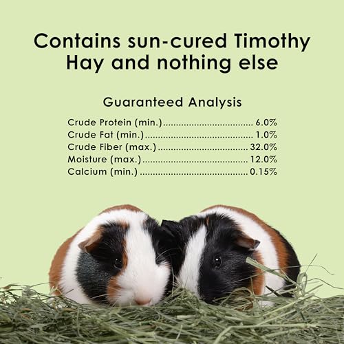 Kaytee Wafer Cut All Natural Timothy Hay for Pet Guinea Pigs, Rabbits & Other Small Animals, 60 Ounce - size: 3.75 Pound (Pack of 1)