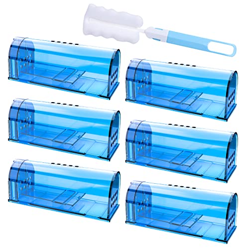 6 Pack Humane Mouse Rat Traps No Kill Live Mice Trap Indoor for Home-Blue | Catch & Release, A Bush to Clean, Safe for Child Pet Indoor Outdoor - size: Blue-6 Pack