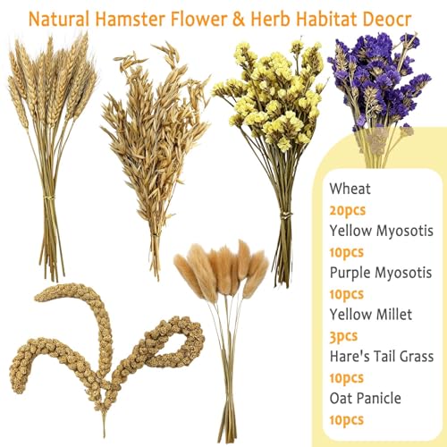 Natural Hamster Flower & Herb Habitat Deocr, Edible Hamster Sprays Flowers Bedding Mate, Hamsters Cage Enrichment Decoration Accessories for Gerbil Dwarf Syrian Hamsters Guinea Pig Mice