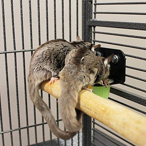 Nectar Pods (Variety 4 Pack) - Calcium-Fortified Jelly Fruit Treat - Sugar Gliders, Marmosets, Squirrels, Parrots, Cockatiels, Parakeets, Birds, Hamsters, Day Geckos, Kinkajous & Other Small Pets
