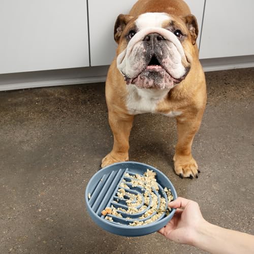 Slow Feeder Dog Bowls - Medium Size Silicone Slow Eating Dog Bowl for Puppies & Dogs with Suction Cup -Dishwasher-Safe, Lick Mat Design, Reduces Gulping,for All Breeds,7.5”x1.5”- Ocean - color: Ocean - Rainbow Design, size: Medium (7.5” Across x 1.5” Tall