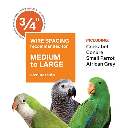 Prevue Pet Products Dome Top Bird Cage with Push Button Locks - Chalk White | Powder‑Coated Steel Cage with Wheels, Seed Guards, and Perch, Ideal for Cockatiels and All Small-Medium Sized Birds
