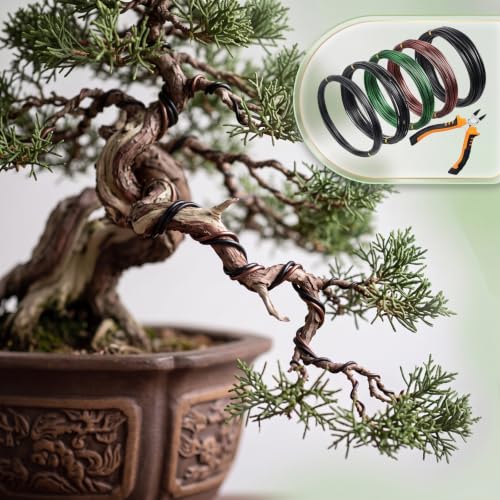 Mudder 5 Roll Aluminum Bonsai Training Wire Tree 1/1.5/2.0mm 160 Feet Total with Bonsai Wire Cutter Anodized Training for Holding Branches Small Trunks(Classic) - color: Classic, size: 1/1.5/2.0mm
