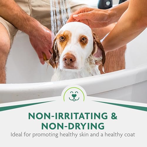 FURminator Ultra Premium deShedding Shampoo for Dogs, 1 gal | Reduces Excess Shedding, Helps Remove Wet Dog Smell, No Parabens or Dyes, Fresh Scent - size: 1 gal, style: Shampoo