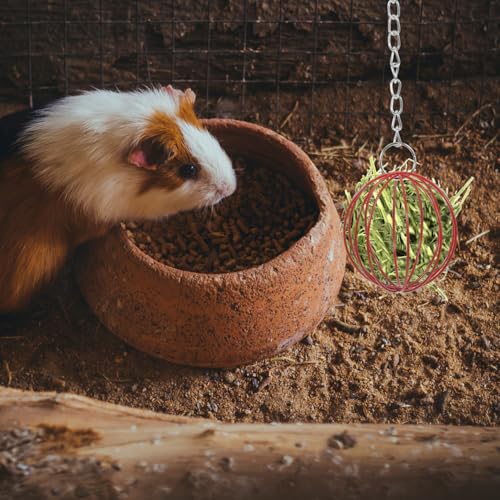 2-Pack Rabbit Feeder Balls Hanging Hay Feeder Ball for Bunny Cage Small Pet Grass Ball Holder Reusable Pet Cage for Feeding and Play