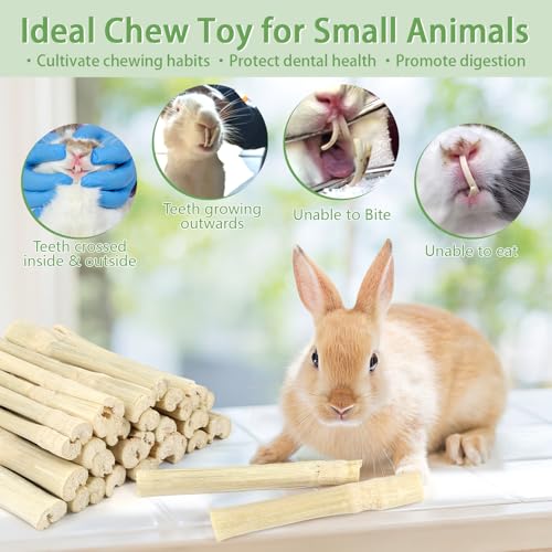 300g Sweet Bamboo Sticks for Rabbits, Bunny Chew Toys for Small Pets | Natural Bamboo Chews for Rabbits, Chinchillas, Guinea Pigs, Hamsters, Squirrels,and Small Animal Teeth Grinding