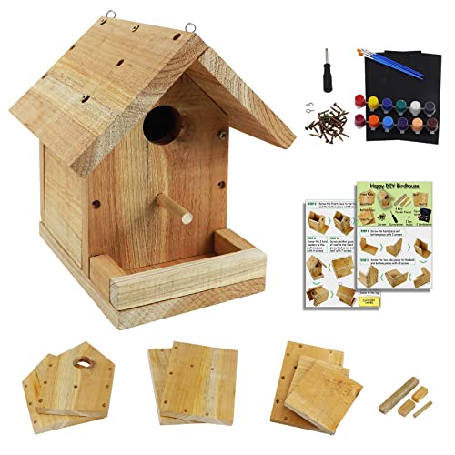 DIY Birdhouse Kit with Paint Set - Kids' Wood Craft Kits - Make a Bird House Kit for Kids - DIY Woodcraft Building Projects for Kids and Adults- STEM Teaching Tools