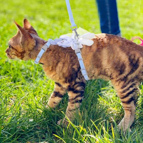 TIESOME Cat Harness and Leash Set, Adjustable Gradient Kitten Harness Escape Proof Harness with Leash for Kitty Outdoor Walking (Ribbon Bear Blue) - color: Ribbon Bear Blue