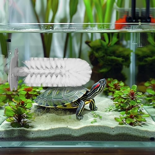 Turtle Brush with Suction Cup for Tank, Three High Suction Power Suction Cup Turtle Shell Cleaning Brush, White - color: White