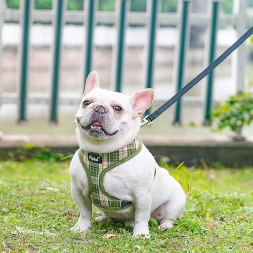PUPTECK Soft Mesh Dog Harness and Leash Set Pet Puppy Cat Comfort Padded Vest No Pull Harnesses, Olive Green, S - color: Olive Green, size: S (NECK: 12", CHEST: 14"-18")