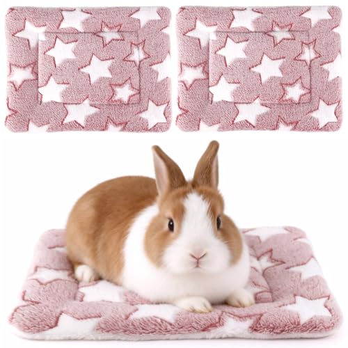 Guinea Pig Bed, 2 Pack (12x10 Inch) Soft Plush Small Animal Bed Mat, Washable Bedding Blanket Sleeping Warm Pad for Bunny, Rat, Ferret, Chinchilla - color: Light Red
