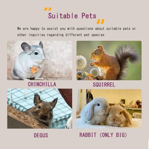 Chinchilla House Chinchiila Nest Degu House Small Animal Hideout Natural Wooden No Paint Wooden peg Safe Durable Teeth Grinding