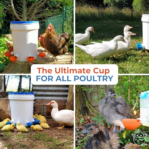 Lil Clucker - Blue Large Automatic Chicken Waterer Cups Suitable for Ducks, Geese, Turkeys, and Bunny Rabbit - Water Feeder Kit - Poultry Waterer - Pack of 12 - size: 12-Pack