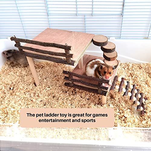 Hamster Climbing Toys,Toys Cage Accessories Two-Tier Hamster Playground Activity Platform with Bridge Natural Apple Wood Chew Toys for Guinea Pig,Gerbils,Chinchillas,Bunny,Rats