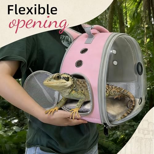Reptile Travel Backpack Carrier with Reptile Thermometer and Humidity Gauge & Harness Leash Lizard Travel Cage Space Capsule Clear Bubble Window Astronaut Bearded Dragon Bag for Ball Python - color: Pink