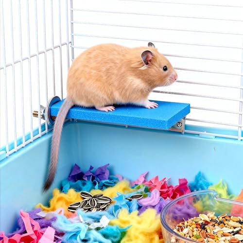 6 Pcs Wood Sugar Glider Toys, Small Animal Climbing Steps, Hamster Climbing Cage Steps, Sharpening Claws for Cages Suitable, Colorfu